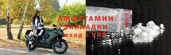 прущие грибы Аркадак